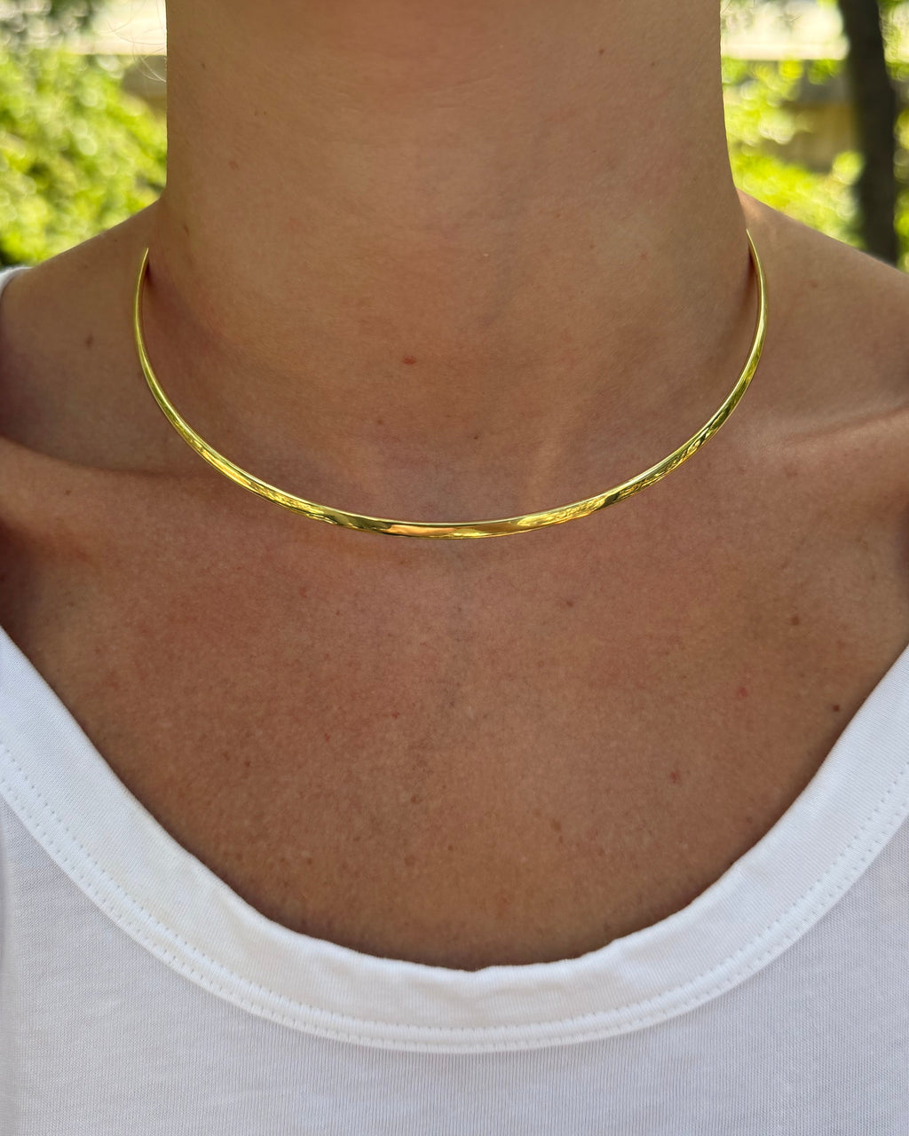 Signature Collar (Thick)